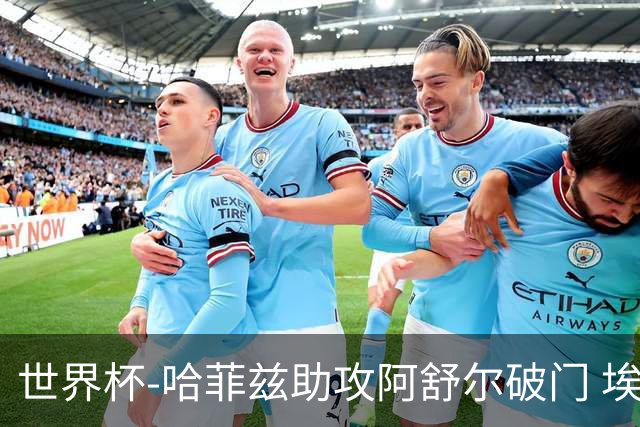 世界杯-哈菲兹助攻阿舒尔破门 埃及半场暂1-0澳大利亚