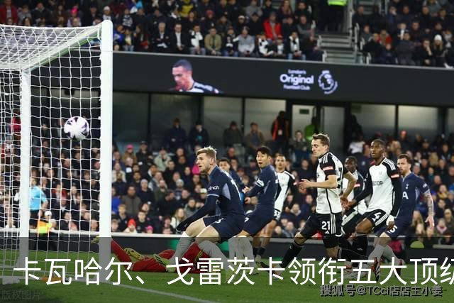 卡瓦哈尔、戈雷茨卡领衔五大顶级自由身，曼联中场迎来补强契机
